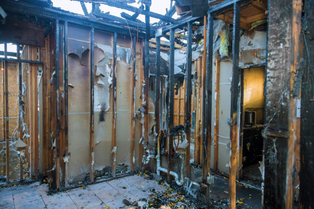 Professional Smoke Damage Removal technician working in West New York, NJ